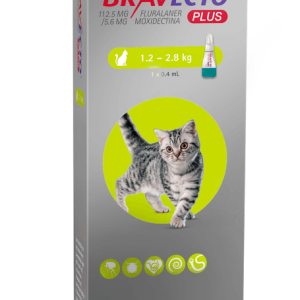 Bravecto Pipeta Gato Plus 1,2 a 2,8Kg