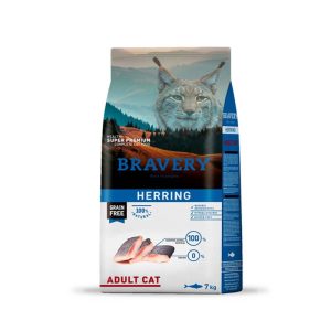 Bravery Arenque Gato Aduto