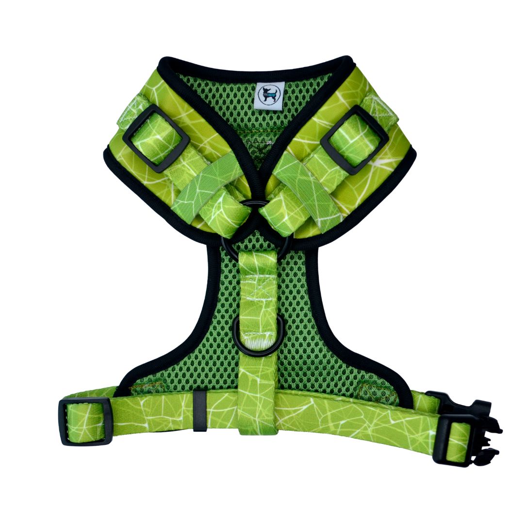 Arnes Pechera Ajustable Petlounge Chic Green - Imagen 2