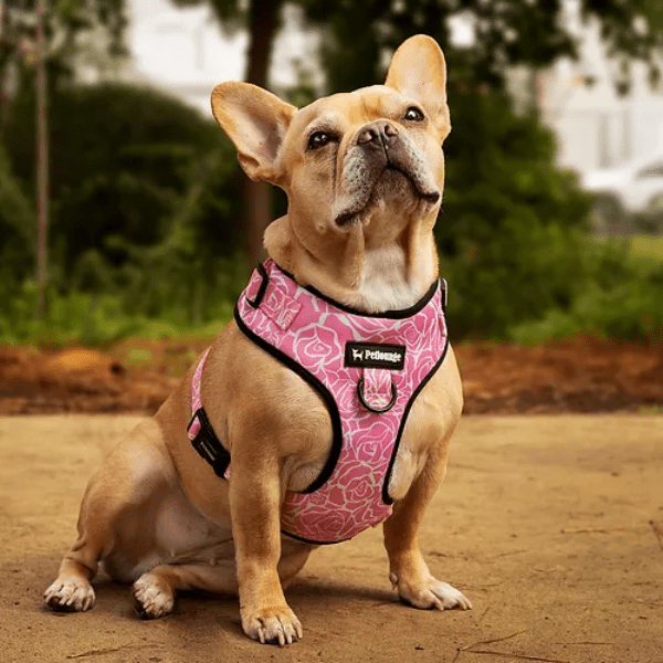Arnes Pechera Ajustable Petlounge Candy Roses - Imagen 3