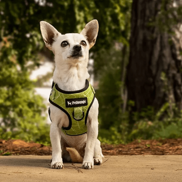 Arnes Pechera Ajustable Petlounge Chic Green - Imagen 3