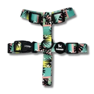 Arnes H Wild Monstera