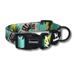 Collar Perro Wild Monstera